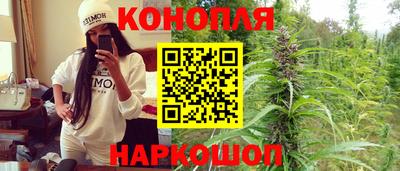 спайс Обь