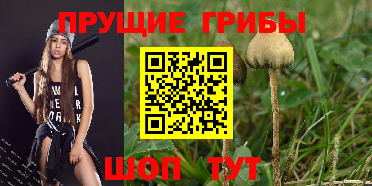 Псилоцибиновые грибы Magic Shrooms  Вход с VPN  Славянск-на-Кубани 